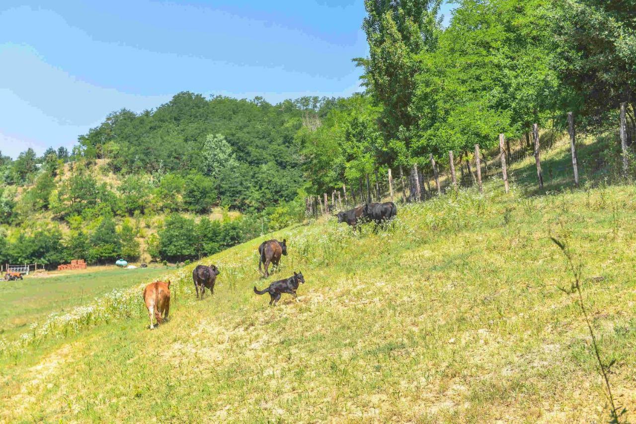 Cascina Lissona Villa Asti Ngoại thất bức ảnh
